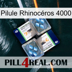 Pilule Rhinocéros 4000 viagra5